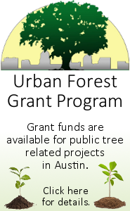 Urban forest grant program