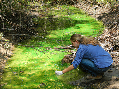 Following Water Movement Using Dye Tracing (U.S. National Park