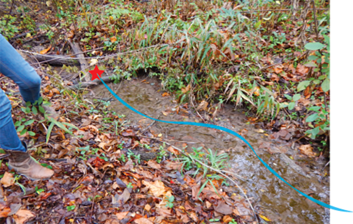 Although the spring does not emerge from a defined outlet, you can see the water has seeped out here and begins to flow in this channel. 