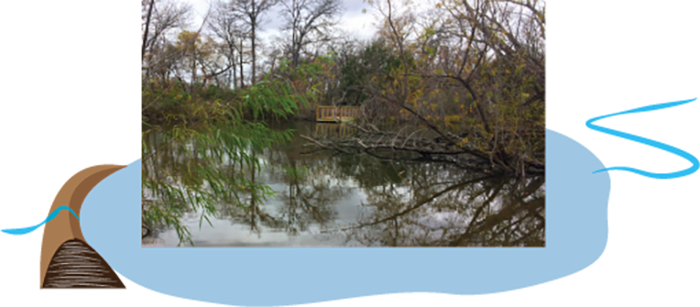 The spring water reaches a small dam, which holds back the water flow, forming a pond.  Dr. Blair named this small blockade “The Dam of Words” because he constructed the dam using old student essays. The pond ranges from four-  to six-feet deep and provides a reliable source of water for birds and other wildlife.  