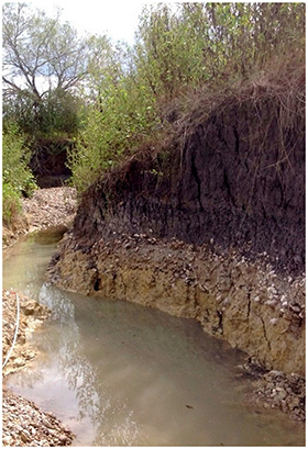 Creek with severe erosion.