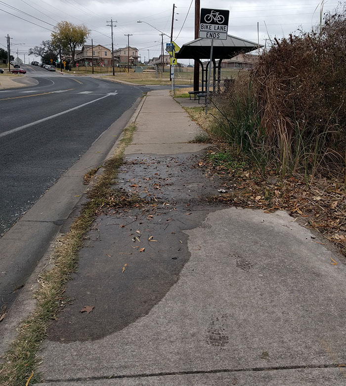 Water from a small spring (or “seep”) flows over a sidewalk on Rosewood Avenue.