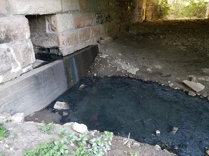 Inspection and investigation of flow during dry season at selected sites. Part of Texas Pollutant Discharge Elimination System permit requirements. 