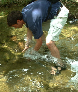 Staff sampling water in Bartonb Creek.