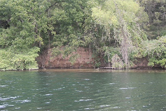 An eroding streambank.