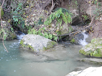 A point or zone of natural groundwater discharge having a measurable flow and/or a pool.  