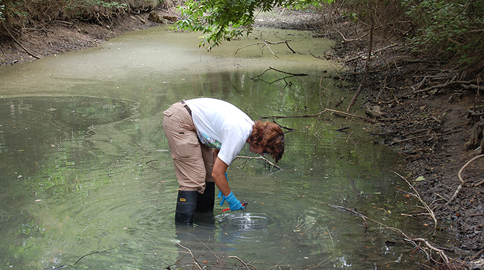 Annual sediment samples are sent to a lab to analyze for metals, PAHs, pesticides, PCBs (industrial chemicals) and hydrocarbons