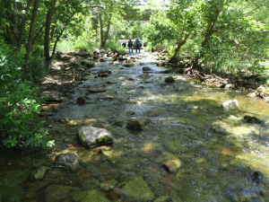 A view of Barton Creek.