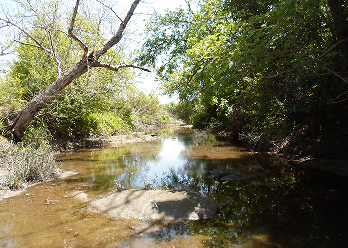 Boggy Creek.