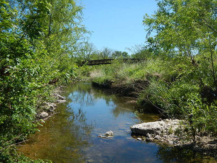 Tannehill Creek.