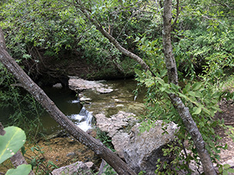 Shoal Creek.