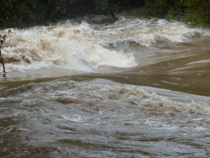 Post storm observation at Waller Creek flowing after a significant size. storm.