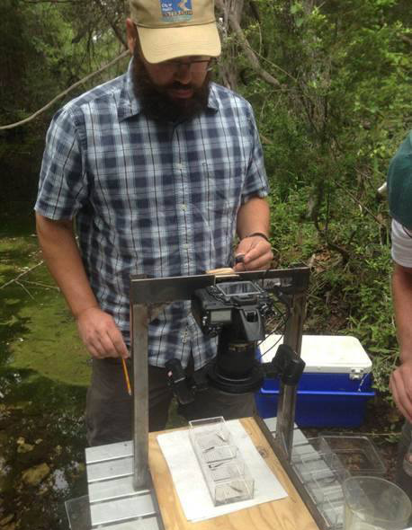 Salamander biologist photographing salamanders.