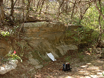 Canyon Rimrocks. A steep rock face with a horizontal extent of 50 feet or greater length and 4 feet or greater height.  Most commonly found paralleling the side of a canyon or surrounding a canyon head.  