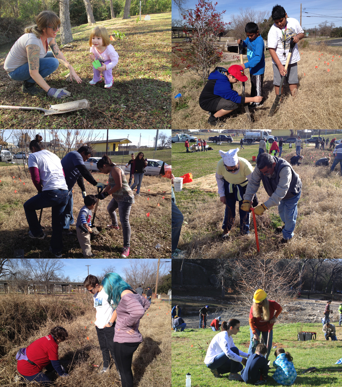 Several people planting seedlings on a cold morning in early 2015 at the Northstar Grow Zone.