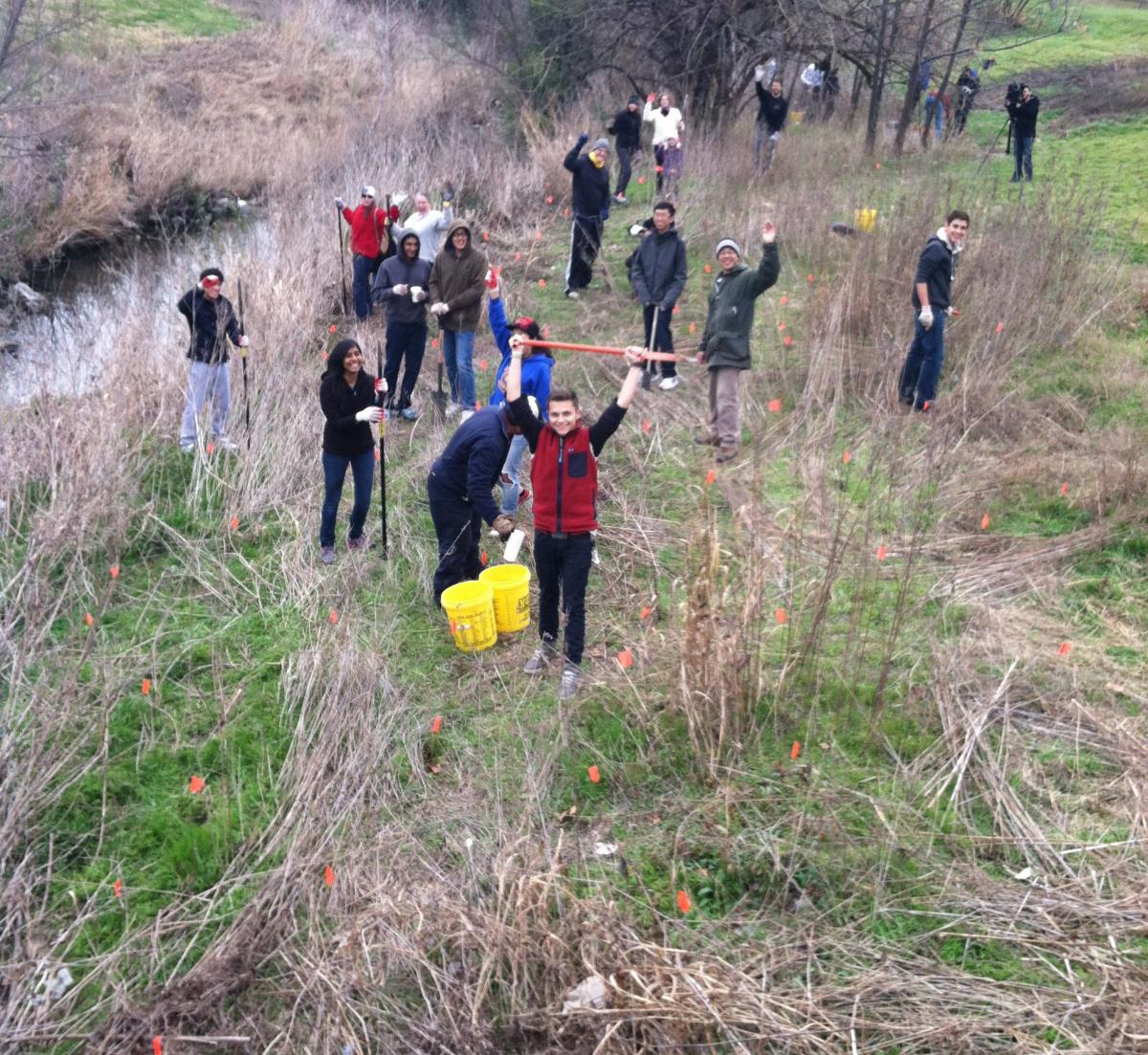 A group of people helping speed up the process by planting seedlings during the winter.  