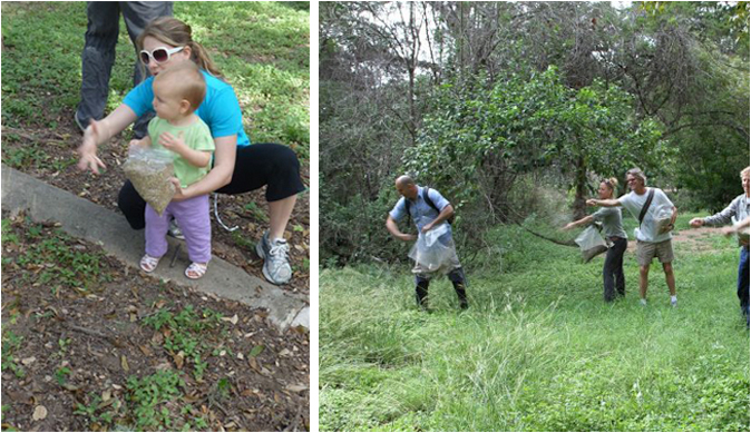 Photo caption: Volunteers spreading native seeds along Blunn Creek