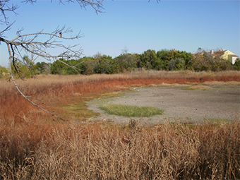 A closed depression formed by the dissolution of limestone and a point of recharge (replenishment of the aquifer by water).  