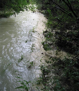 Stormwater runoff from a construction site.  The cloudy appearance of the water is from sediment.