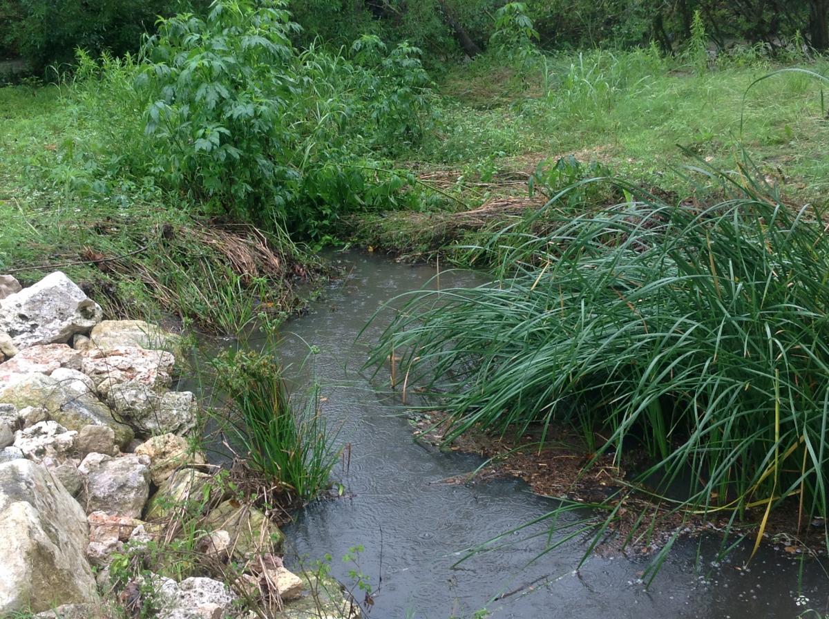 What’s the rush? Slowing stormwater down…from pipes to swales to creeks