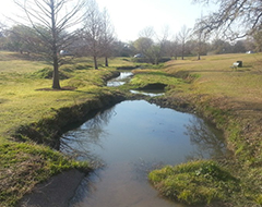 Photo of Tannehill Branch in the J.J. Seabrook Greenbelt.