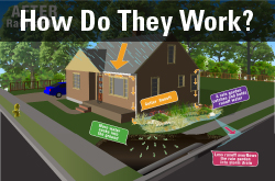 How Do Rain Gardens Work?