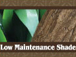 Low-maintenance shade design template