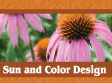 Sun and color design template