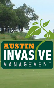 Austin Invsive Management