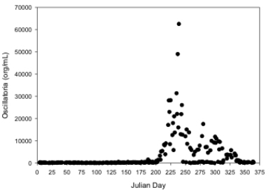 Oscillatoria count.