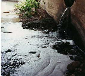 Foam in creek from an illegal detergent discharge.