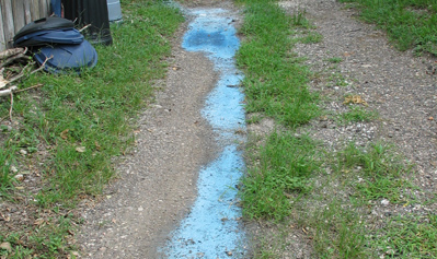 Blue paint discharge from washing paint equipment in residential alleyway.
