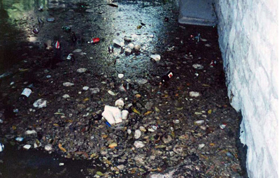 Trash and litter in a local creek.