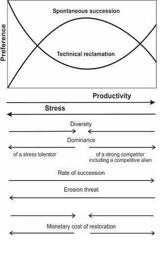 Descriptive chart showing the process of passive restoration.