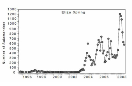Eliza Springs Data