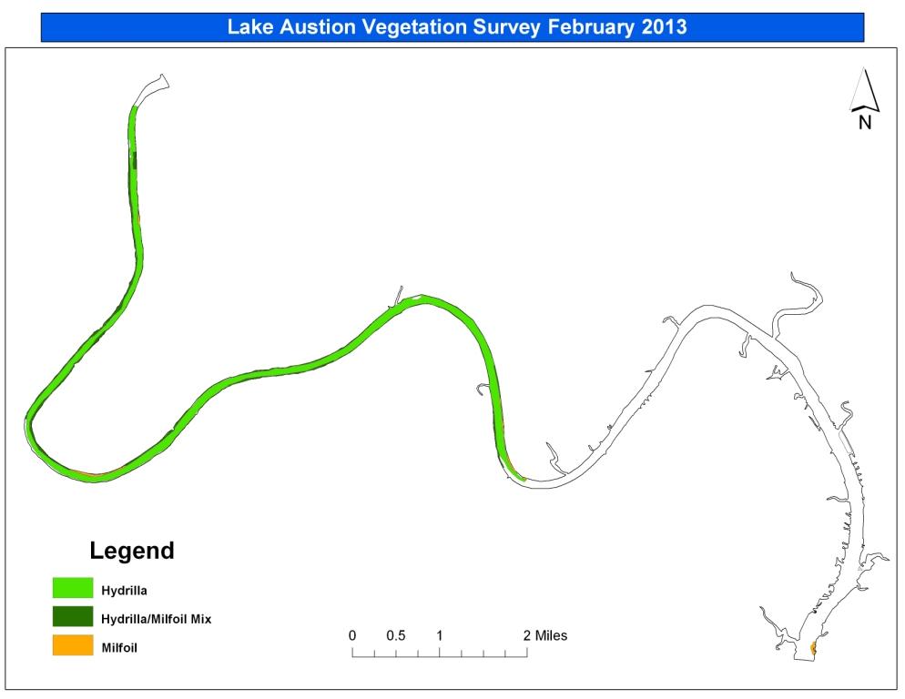 Lake Austin Vegetation Survey February 2013
