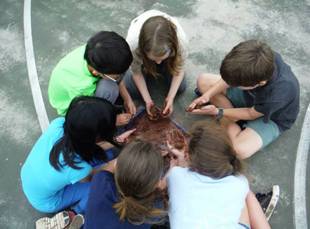 Photo of students preparing seedball