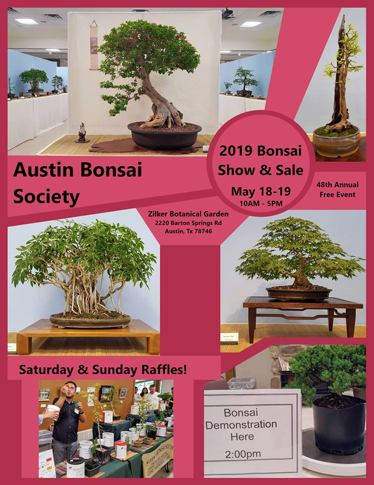 Austin Bonsai Society S 2019 Show And At Zilker Botanical Austin Bonsai Society S 2019 Show And At Zilker Botanical Garden