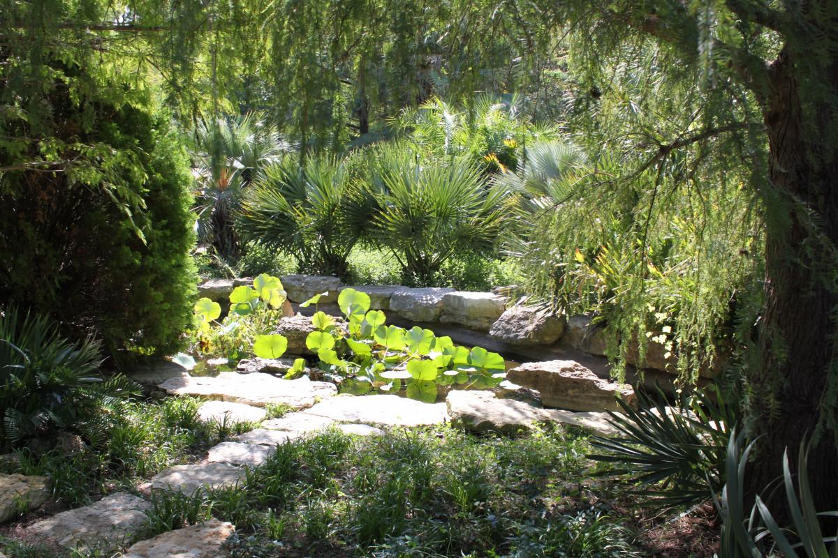 zilker botanical garden | austin parks and recreation | austintexas