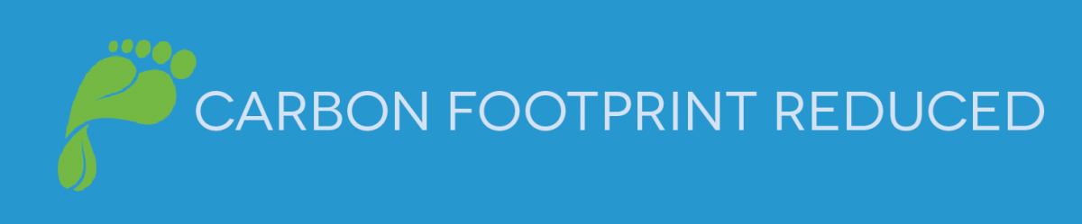 Why are carbon offsets so cheap image