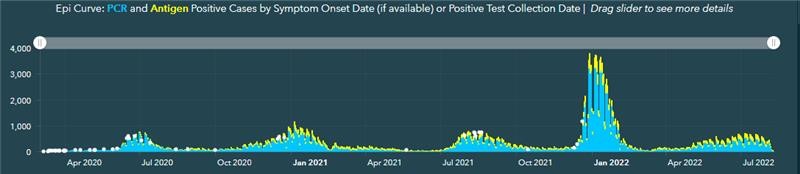 APH COVID-19 Epi Curve