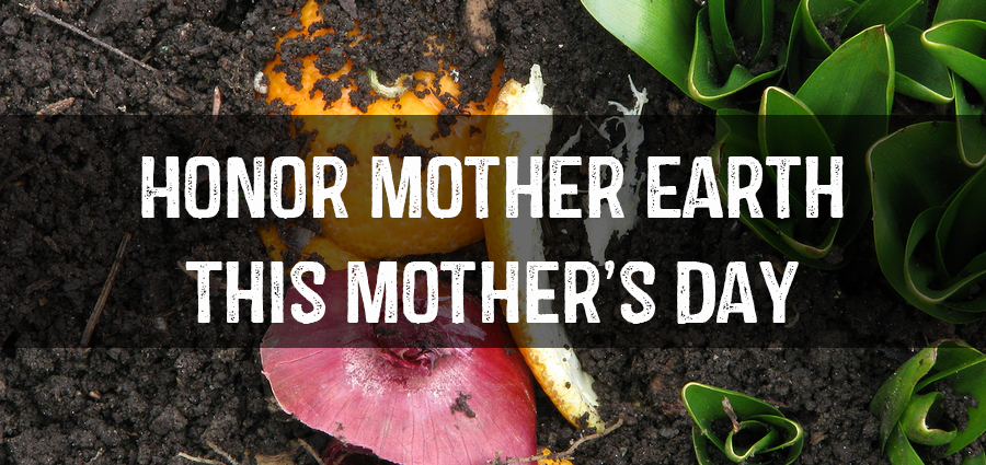 Pledge to mother earth essay picture