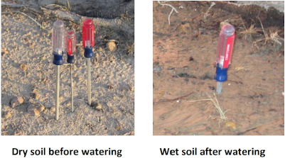 A photo of screwdrivers inserted into soil showing difference between wet and dry.
