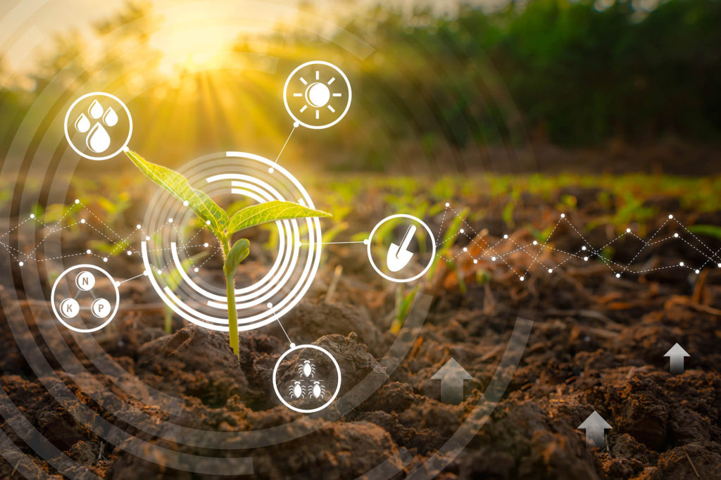 A photo of a plant surrounded by icons indication water, sun, nutrients, and soil ecosystem