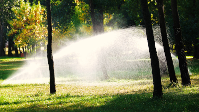 Landscape with sprinklers spraying water across a landscape with trees.