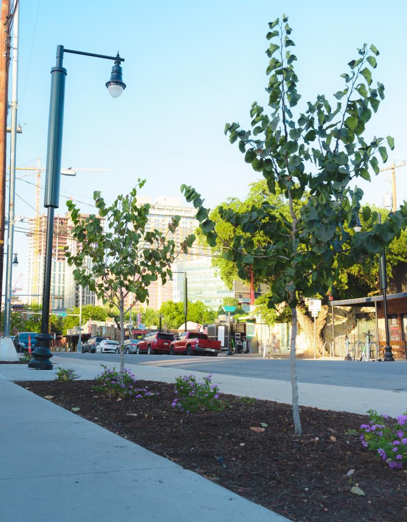 Streetscape improvements in the Red River Cultural District including trees, solar lights, and sidewalks   Photo by Ismael Quintanilla III 