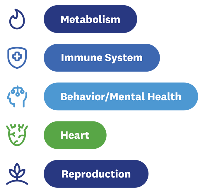 impacts chart Metabolism Immune System Behavior Mental Health Heart Reproduction