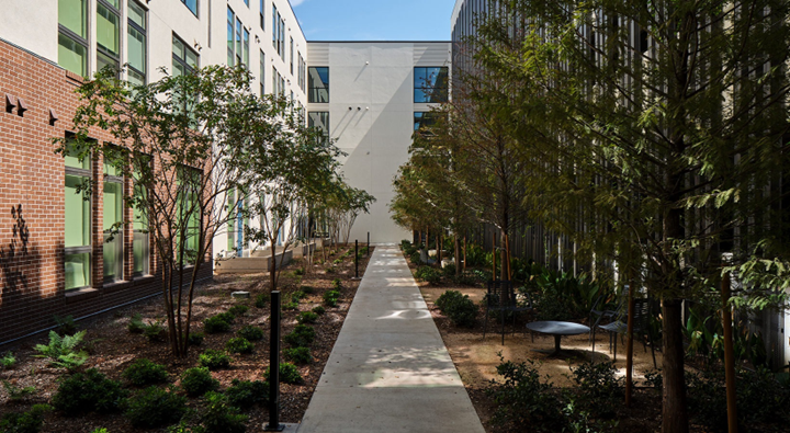 Green trees and landscaping plants line a sidewalk leading to an apartment building, with seating for residents to sit in the shade.