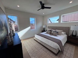 Bright, modern bedroom with a large upholstered bed, neutral decor, ceiling fan, and multiple windows letting in natural light.
