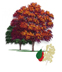 American Smoke tree